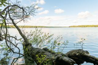 seezeit-resort am Werbellinsee - Joachimsthal - 1
