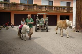 Ferienhof Amslinger - 7