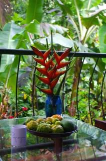 PAPAYAS SELF catering ROOM - Victoria - 5