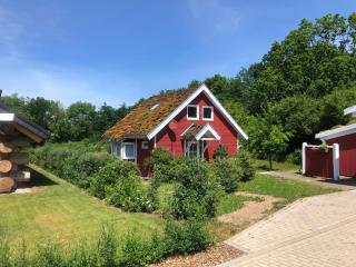 Norweger Haus am Tollensesee - Groß Nemerow - 8
