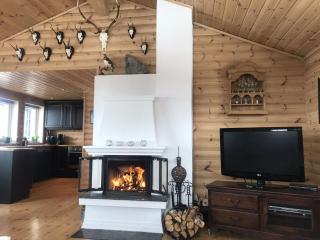 Storemyr by Norgesbooking - cabin with amazing view - Myro - 4