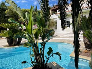 Cannes Villa piscine proche centre ville - Cannes - 8