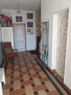 Pluie de roses - Royan - 6
