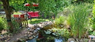 Ferienwohnung Müller - 1