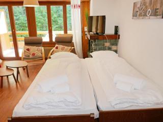 Apartment Quille du Diable 33 by Interhome - Nendaz - 4