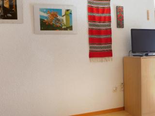Apartment Castor und Pollux-1 by Interhome - Täsch - 6
