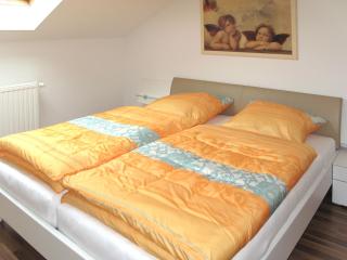Apartment Freisinger-2 by Interhome - Zachenberg - 7