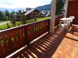 Apartment Topaze 4 by Interhome - Villars-sur-Ollon - 7