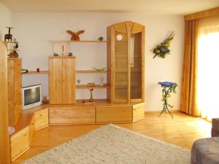Apartment Wildauer by Interhome - Zellberg - 4