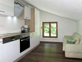 Apartment Bergkamerad by Interhome - Preunegg - 8
