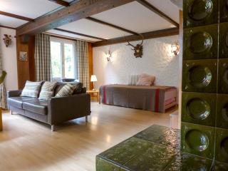Apartment Stocki by Interhome - Lauterbrunnen - 1