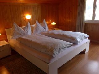 Apartment Chalet Bärgsunna-3 by Interhome - Grindelwald - 5