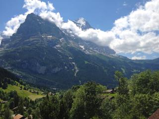 Apartment Chalet Doris-1 by Interhome - Grindelwald - 5