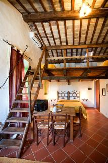 Apartment Casamare Gabicce-3 by Interhome - 7