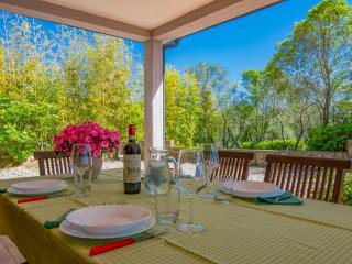 Apartment Montaleo 1 by Interhome - Casale Marittimo - 5