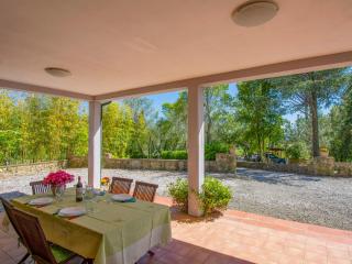 Apartment Montaleo 1 by Interhome - Casale Marittimo - 4