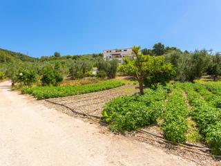 Apartment Villa Tavaglione-1 by Interhome - Peschici - 0