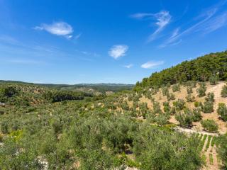 Apartment Villa Tavaglione-1 by Interhome - 3