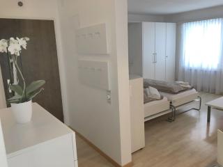Apartment Val Signina-1 by Interhome - Laax-Murschetg - 4
