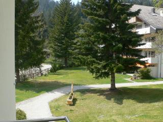 Apartment Val Signina-1 by Interhome - Laax-Murschetg - 6