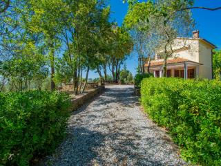 Apartment Montaleo 4 by Interhome - Casale Marittimo - 8