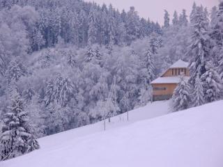 Apartment Egggraben by Interhome - 9