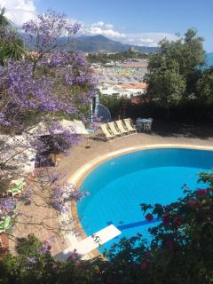 Grand Hotel De Rose - Scalea - 9