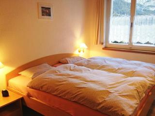 Apartment Chalet Almis-Bödeli-2 by Interhome - Grindelwald - 2