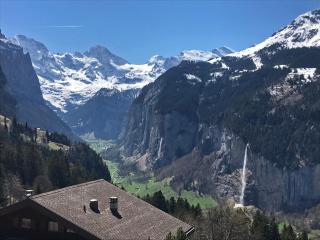 Apartment Plein Soleil by Interhome - Wengen - 4