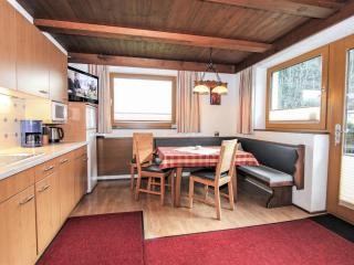 Apartment Widner by Interhome - Fügenberg - 9