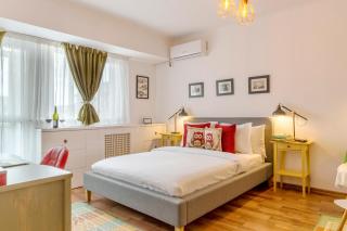 Piata Victoriei by MRG Apartments - Bucarest - 9