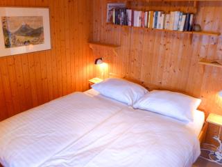 Chalet Henri by Interhome - Moleson - 1
