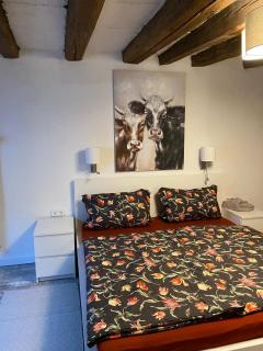 Schöne Ferienwohnung Gewölbekeller Fachwerkhaus - Bacharach - 5