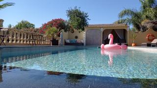 Quinta Pereiro Tropic Garden, Algarve - Moncarapacho - 9