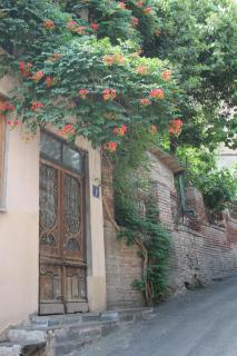 Valiko - Tbilisi - 0