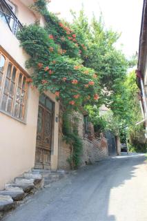 Valiko - Tbilisi - 4