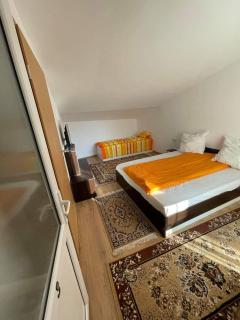Casa Wiesmann Băile Felix - Baile Felix - 8