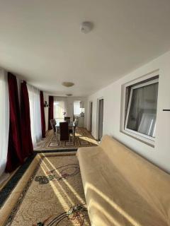 Casa Wiesmann Băile Felix - 3