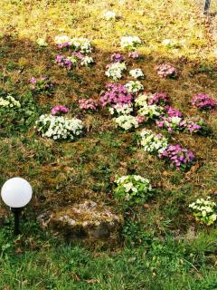 Clos des lys - Vittel - 7