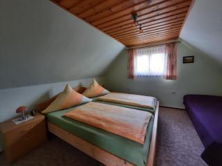 Apartment with terrace in Saxony - Bad Elster - 1