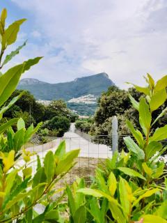 B&B da AnnaMaria - Maratea - 1