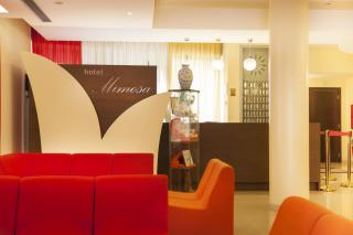 Hotel Mimosa - 8