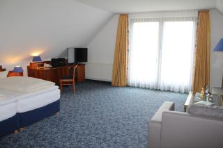 Alpina Lodge Hotel Oberwiesenthal - Kurort Oberwiesenthal - 1