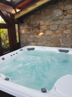 Podere I Casaloni - La casa nel bosco - Torniella - 6