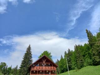 Cabana Sânziana - Gârda de Sus - 4