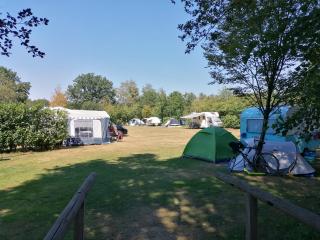 Minicamping 't Bosch - Zelhem - 0