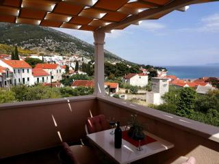 Apartments Borovina - 8