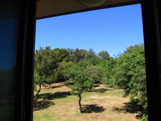 Guest House Caterina - 8
