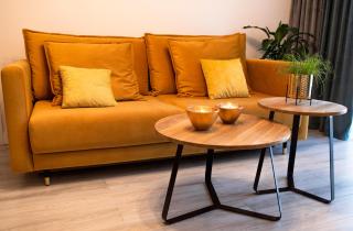 APARTAMENT BIESZCZADY - 8