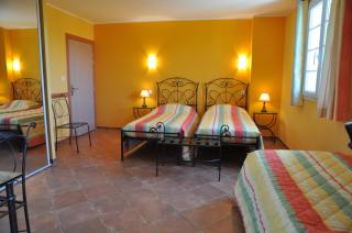 Hotel Du Vignoble - 5
